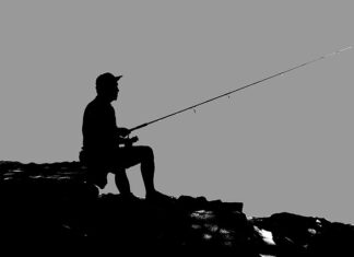 Jak wybrać wędkę spławikową