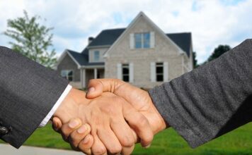 Gdzie mogę kupić siano?