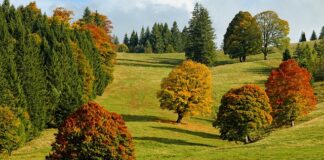 Jak zabarwić odbarwione spodnie?