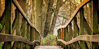 Jaki czepek dla dziewczynki?