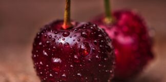 Czego nie robić po umyciu włosów? Czego nie robić po umyciu włosów?