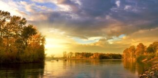 Jak łączyć kolory cieni do powiek? Jak łączyć kolory cieni do powiek?