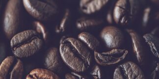 Dlaczego Smażona cukinia jest gorzka? Dlaczego Smażona cukinia jest gorzka?