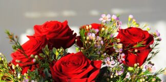 Jaki jest najdroższy perfum na świecie? Jaki jest najdroższy perfum na świecie?