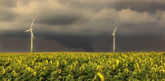 Jaka jest kolejność nakładania kosmetyków?