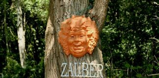 Czy spirytus salicylowy zmywa lakier? Czy spirytus salicylowy zmywa lakier?