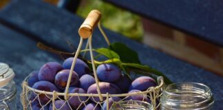 Dlaczego powidła są rzadkie? Dlaczego powidła są rzadkie?