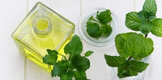 Na co jest dobry balsam Szostakowskiego? Na co jest dobry balsam Szostakowskiego?