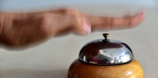 Jak powinno się podnosić kota?