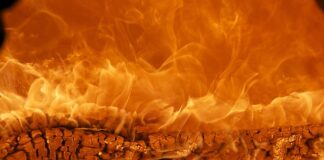 Czy marka Essence jest testowana na zwierzętach? Czy marka Essence jest testowana na zwierzętach?