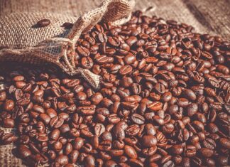 Co daje jedzenie fasoli?