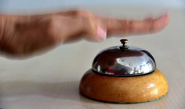 Jak prawidłowo podnosić królika? Jak prawidłowo podnosić królika?