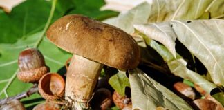 Jak Obkurczyć wargi sromowe?