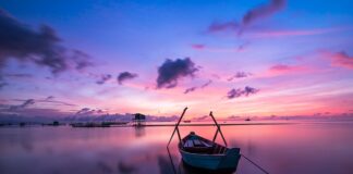 Jaki kolor podbija szare oczy? Jaki kolor podbija szare oczy?