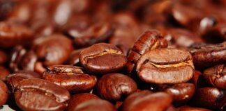 Czy można piec na stewii?