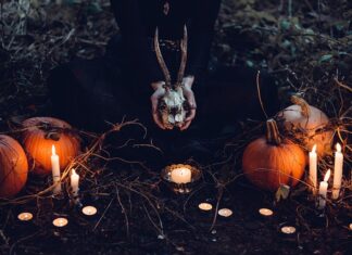 Czy dynię trzeba obierać ze skóry?