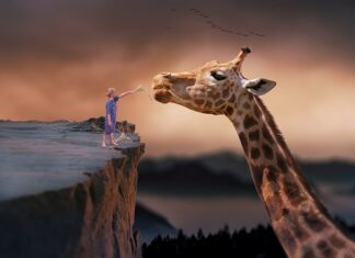 Czy da się żyć bez cukru?