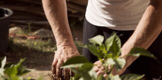 Do czego potrzebne jest uziemienie?