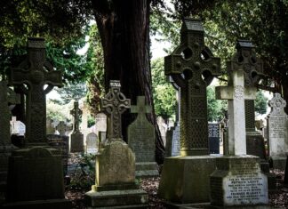 Co można dać zamiast erytrytolu?