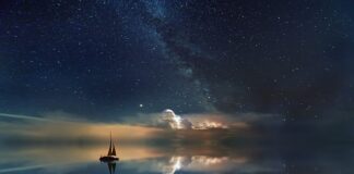 Co zrobić żeby wodą w akwarium była krystalicznie czysta?