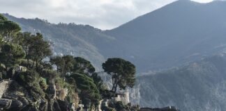 Ile kosztuje balot siana 2023?