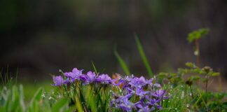 Kiedy zmieniają się rysy twarzy?