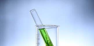 Co zrobić aby pozbyć się glonów w akwarium? Co zrobić aby pozbyć się glonów w akwarium?