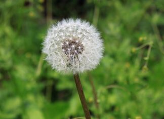Czym smarować swędzące miejsca intymne?