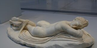 Ile lat żyją świnki morskie? Ile lat żyją świnki morskie?