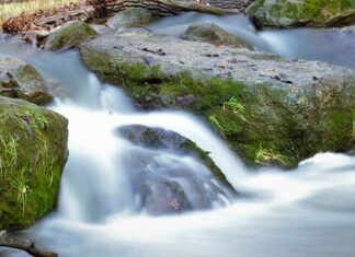 Czy Gaia to polska firma?