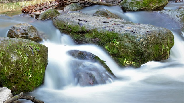 Czy Gaia to polska firma? Czy Gaia to polska firma?