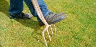 Jak Wietrzyć Pochwę? Jak Wietrzyć Pochwę?