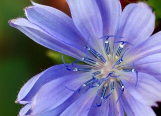 Gdzie najlepiej kupić zamienniki perfum?