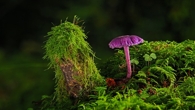 Jak usunąć zaschniętą farbę akrylową z ubrania? Jak usunąć zaschniętą farbę akrylową z ubrania?
