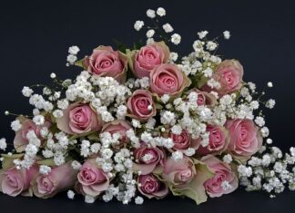 Jak pachnie Coco Chanel No 5?