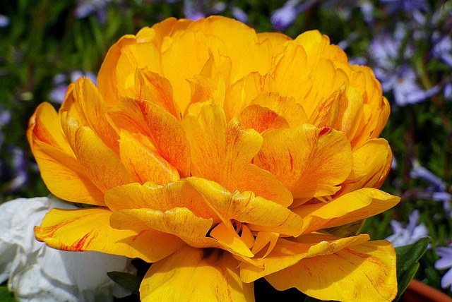 Czym Cieniujemy twarz? Czym Cieniujemy twarz?