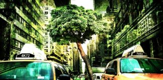 Czym jest fałszowanie żywności?