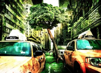 Czym jest fałszowanie żywności?