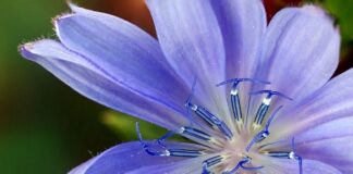 Jakie zamienniki perfum są najtrwalsze? Jakie zamienniki perfum są najtrwalsze?