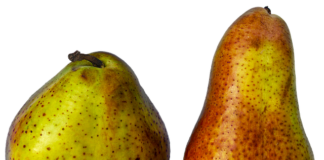 Po co fiszbiny w staniku?