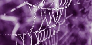 Co warto kupić z Origins?