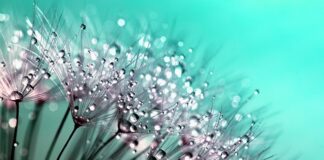 Czy kropelka sklei kamień? Czy kropelka sklei kamień?